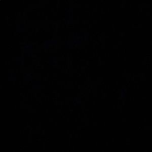 Meet your Posher, Ervin